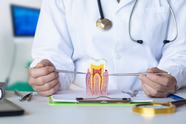 Best Emergency Wisdom Teeth Removal in Moorefield, WV